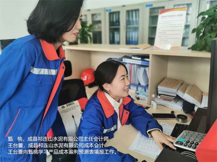 甄桃  王台蕾  成县祁连山尊龙官方网站有限公司  成本会计王台蕾向主任会计师甄桃学习产品成本盈利预测表填报工作.jpg